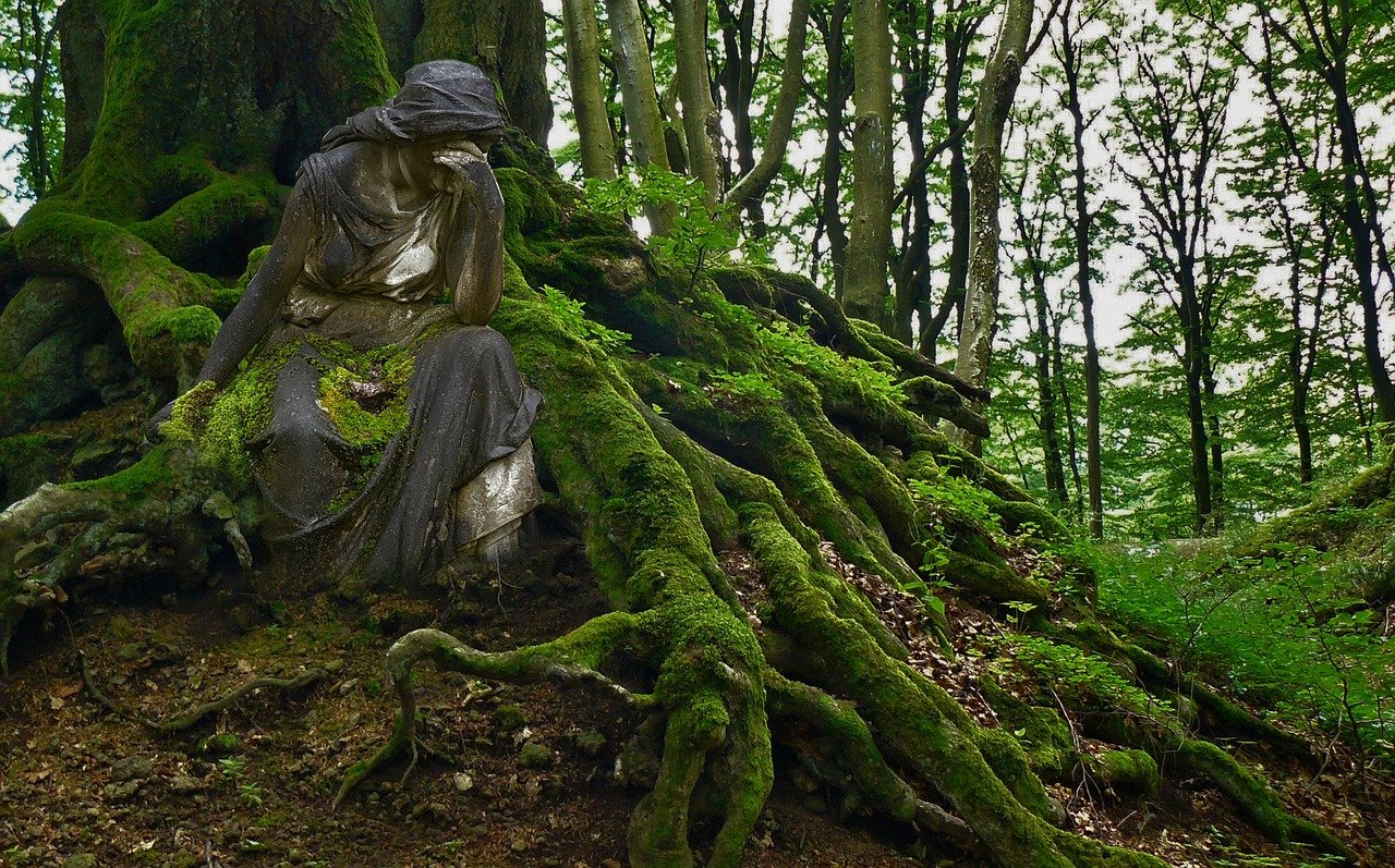 Trauerwald Bestattung München – Waldbeisetzung als stiller Gedenkort